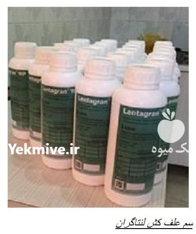 سم علف کش سم لنتاگران در پاکدشت در گروه خرید و فروش انواع سم در یکمیوه -عکس1