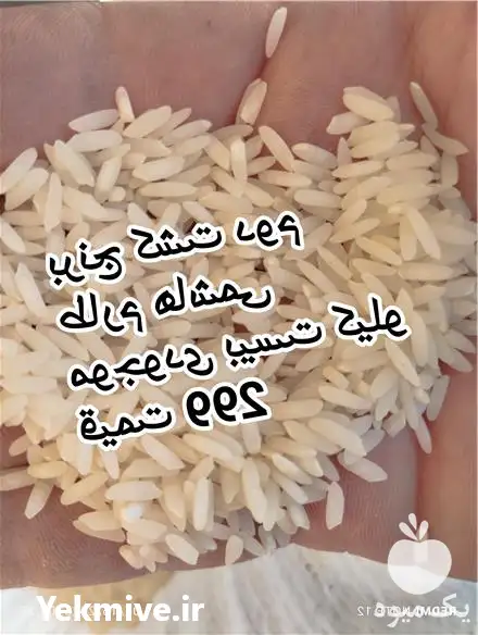 فروش برنج طارم هاشمی در تهران در گروه خرید و فروش برنج در یکمیوه -عکس1