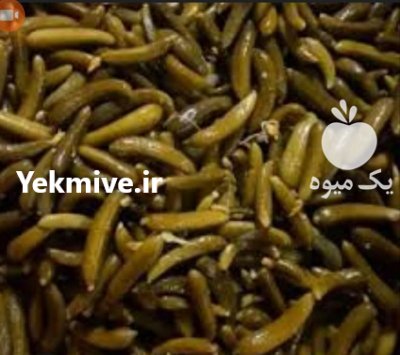 خیارشور در زاهدان در گروه محصولات ترشی در یکمیوه -عکس1
