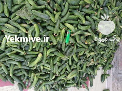 خیارشور در زاهدان در گروه محصولات ترشی در یکمیوه -عکس3