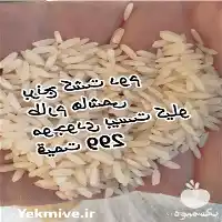 فروش برنج طارم هاشمی در تهران در گروه خرید و فروش برنج در یکمیوه