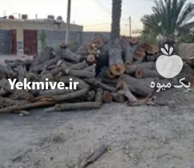 فروش تنه درخت کرت در میناب در گروه خرید و فروش چوب درخت در یکمیوه -عکس2