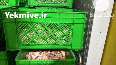 فروش انواع سبدهای کشتارگاهی در ساری در گروه خرید و فروش انواع سبد در یکمیوه -عکس1