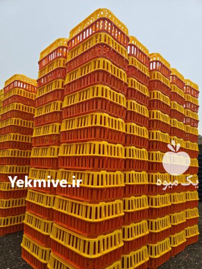 فروش انواع سبدهای کشتارگاهی در ساری در گروه خرید و فروش انواع سبد در یکمیوه -عکس2