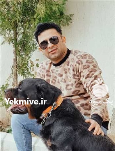 سگ نگهبان خرید فروش سگ نگهبان در تهران در گروه سگ و گربه در یکمیوه -عکس3