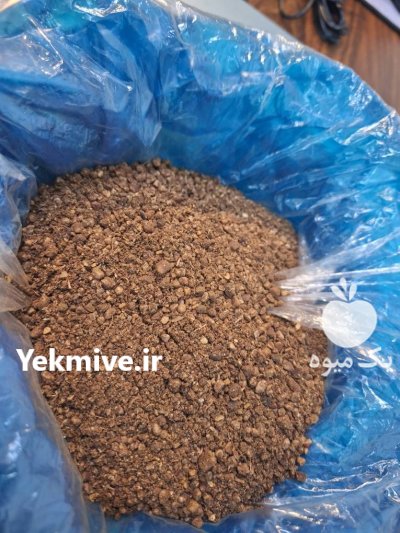 قیمت پودر هسته خرما دامی در تهران در گروه خوراک شیلات و آبزیان در یکمیوه -عکس1