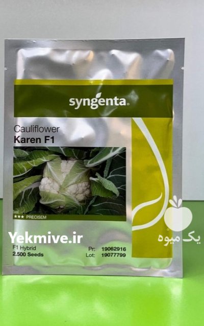 بذر گل کلم کارن در شوش در گروه خرید و فروش بذر صیفی جات در یکمیوه -عکس1