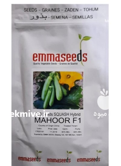 بذر کدو ماهور در اهواز در گروه خرید و فروش بذر کدو در یکمیوه -عکس1