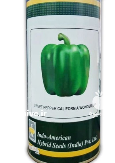 بذر فلفل دلمه ای ایندام بهارات در اصفهان در گروه خرید و فروش بذر فلفل در یکمیوه -عکس1