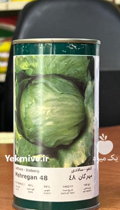 بذر کاهو مهرگان 48 در تبریز در گروه خرید و فروش بذر کاهو در یکمیوه -عکس1