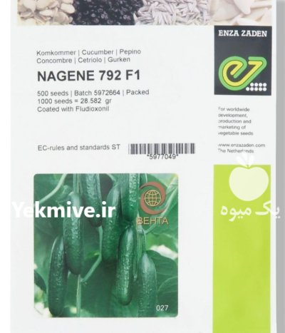 بذر خیار ناگین در یزد در گروه خرید و فروش بذر خیار در یکمیوه -عکس1