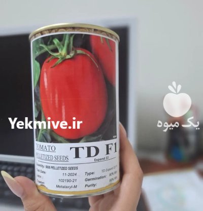 بذر گوجه فرنگی تی دی در مرودشت در گروه خرید و فروش بذر گوجه در یکمیوه -عکس1