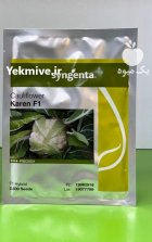 بذر گل کلم کارن در شوش در گروه خرید و فروش بذر صیفی جات در یکمیوه