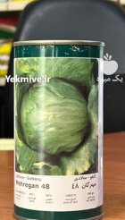 بذر کاهو مهرگان 48 در تبریز در گروه خرید و فروش بذر کاهو در یکمیوه