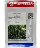 بذر خیار گلخانه ای البا در گنبد کاووس در گروه خرید و فروش بذر خیار در یکمیوه