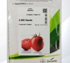بذر گوجه فرنگی بریویو فروش ویژه در جیرفت در گروه خرید و فروش بذر گوجه در یکمیوه