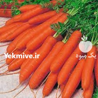 بذر هویج هیبرید دورین بروسید در اسلامیه در گروه خرید و فروش بذر هویج در یکمیوه -عکس2