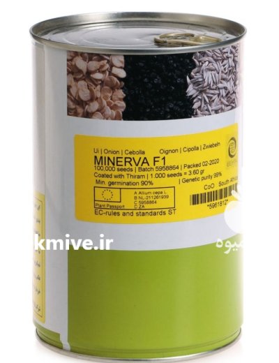 فروش ویژه بذر پیاز مینروا در جیرفت در گروه خرید و فروش بذر پیاز در یکمیوه -عکس1