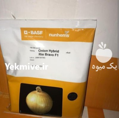 بذر پیاز زرد ریو براوو در عنبرآباد در گروه خرید و فروش بذر پیاز در یکمیوه -عکس1