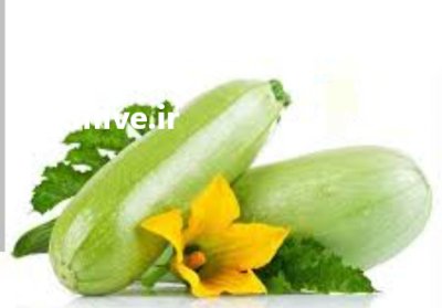 کدو خورشتی ارگانیک در سنندج در کردستان در گروه خرید و فروش کدو در یکمیوه -عکس2