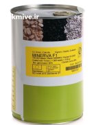 فروش ویژه بذر پیاز مینروا در جیرفت در گروه خرید و فروش بذر پیاز در یکمیوه