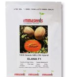 بذر ملون النا در اهواز در گروه خرید و فروش بذر ملون در یکمیوه