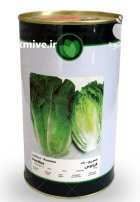 بذر کاهو فردوس در ورامین در گروه خرید و فروش بذر کاهو در یکمیوه