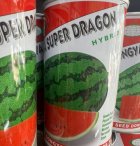 بذر هندوانه سوپر دراگون در اهواز در گروه خرید و فروش بذر هندوانه در یکمیوه