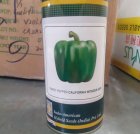 بذر فلفل دلمه ای ایندام بهارات در اصفهان در گروه خرید و فروش بذر فلفل در یکمیوه