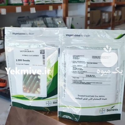 بذر خیار ویکتور در ساری در گروه خرید و فروش بذر خیار در یکمیوه -عکس1