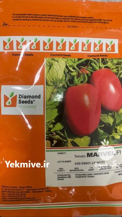 بذر گوجه فرنگی مارول در الوند در گروه خرید و فروش بذر گوجه در یکمیوه -عکس1