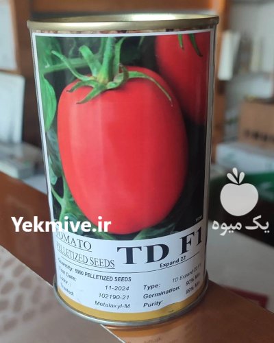 بذر گوجه تی دی در اصفهان در گروه خرید و فروش بذر گوجه در یکمیوه -عکس1