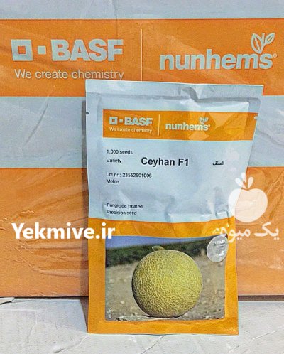 بذر خربزه ملون سیهان در سامان در گروه خرید و فروش بذر خربزه در یکمیوه -عکس1