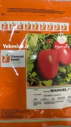 بذر گوجه فرنگی مارول در الوند در گروه خرید و فروش بذر گوجه در یکمیوه