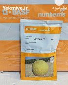 بذر خربزه ملون سیهان در سامان در گروه خرید و فروش بذر خربزه در یکمیوه