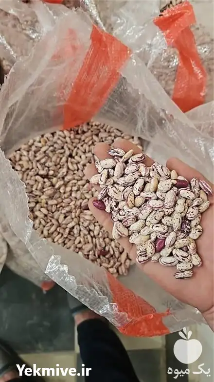 فروش لوبیا چیتی کرم در مشهد در گروه خرید و فروش غلات و حبوبات در یکمیوه -عکس1