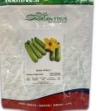 بذر کدو خورشتی اپتیما اگریژن سید در بجنورد در گروه خرید و فروش بذر کدو در یکمیوه