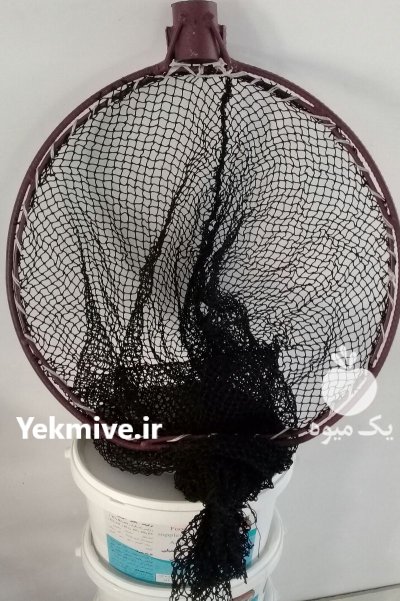 نمایندگی فروش خوراک آبزیان فرادانه در قزوین در گروه خوراک شیلات و آبزیان در یکمیوه -عکس4