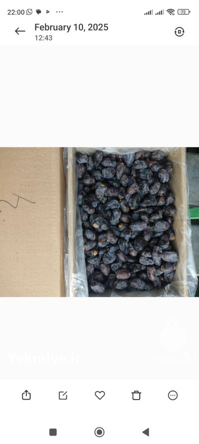 فروش خرما در کرمان در گروه خرید و فروش خرما در یکمیوه -عکس1