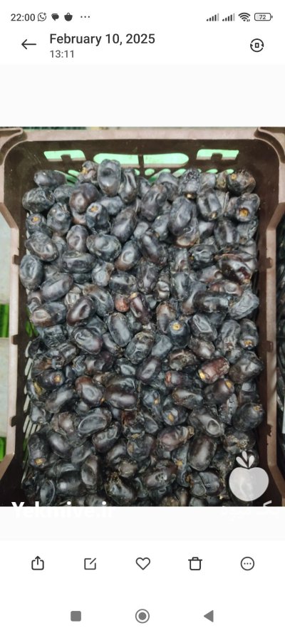 فروش خرما در کرمان در گروه خرید و فروش خرما در یکمیوه -عکس2