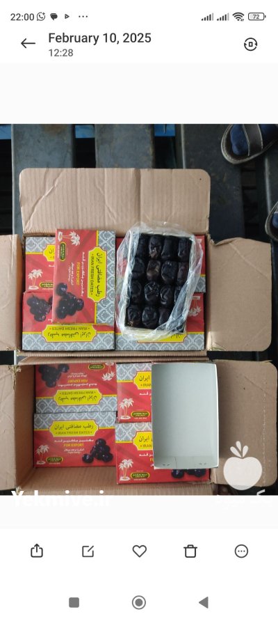 فروش خرما در کرمان در گروه خرید و فروش خرما در یکمیوه -عکس3