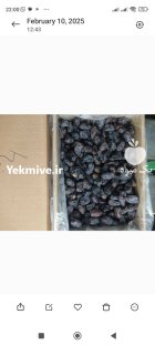 فروش خرما در کرمان در گروه خرید و فروش خرما در یکمیوه