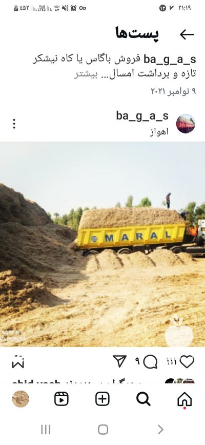 کاه نیشکر باگاس در اهواز در خوزستان در گروه خوراک دام و طیور در یکمیوه -عکس1