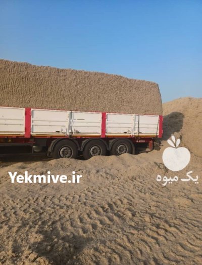 کاه نیشکر باگاس در اهواز در خوزستان در گروه خوراک دام و طیور در یکمیوه -عکس2