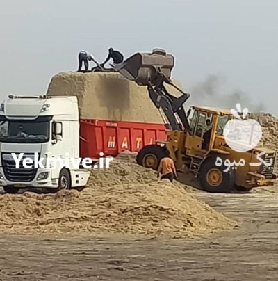 فروش کاه نیشکر در اهواز در گروه خوراک دام و طیور در یکمیوه -عکس3