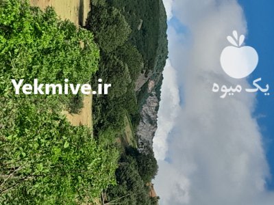 فروش زمین و ملک در بره سر در گروه فروش ملک و زمین در یکمیوه -عکس1