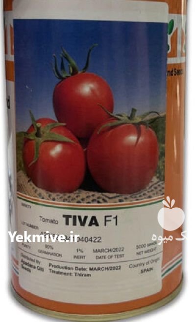 بذر گوجه تیوا دیاموند سید در بازرگان در گروه خرید و فروش بذر گوجه در یکمیوه -عکس1