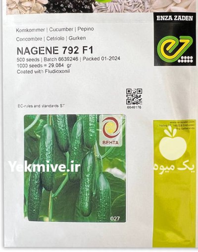 بذر خیار گلخانه ای ناگین در کرج در گروه خرید و فروش بذر خیار در یکمیوه -عکس1