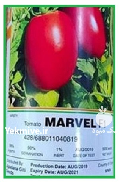 قیمت بذر گوجه فرنگی مارول در تهران در گروه خرید و فروش بذر گوجه در یکمیوه -عکس1