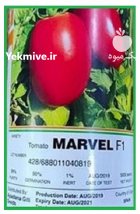 قیمت بذر گوجه فرنگی مارول در تهران در گروه خرید و فروش بذر گوجه در یکمیوه